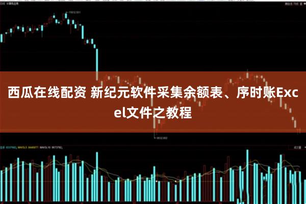 西瓜在线配资 新纪元软件采集余额表、序时账Excel文件之教程