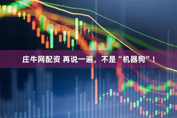 庄牛网配资 再说一遍，不是“机器狗”！